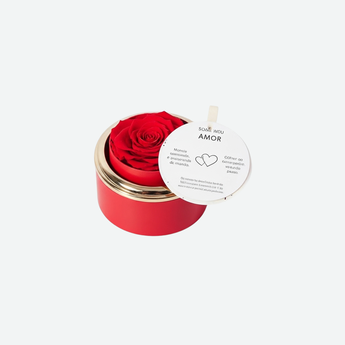 Caixa com Rosa Eterna & Colar Gravado com Nomes